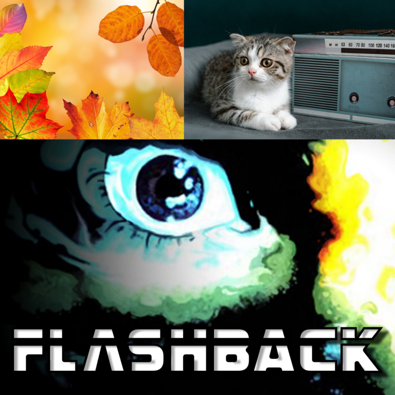 132. Cosy in the dark